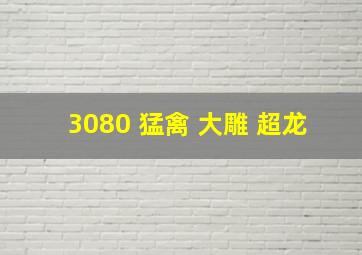 3080 猛禽 大雕 超龙